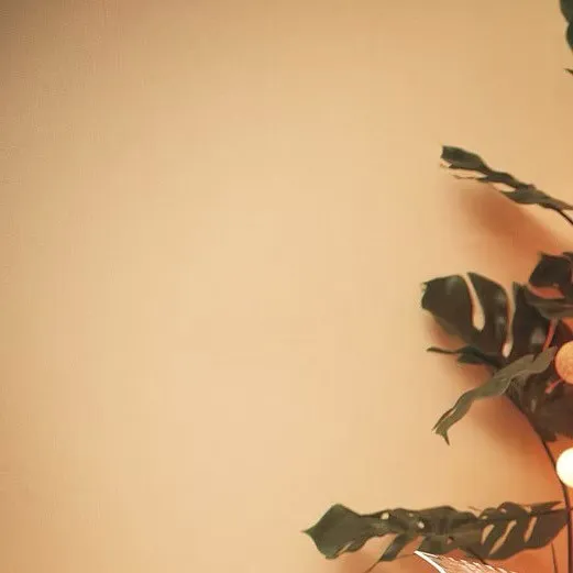 よもぎ蒸しを取り入れて、ダイエット加速しましょう❤️