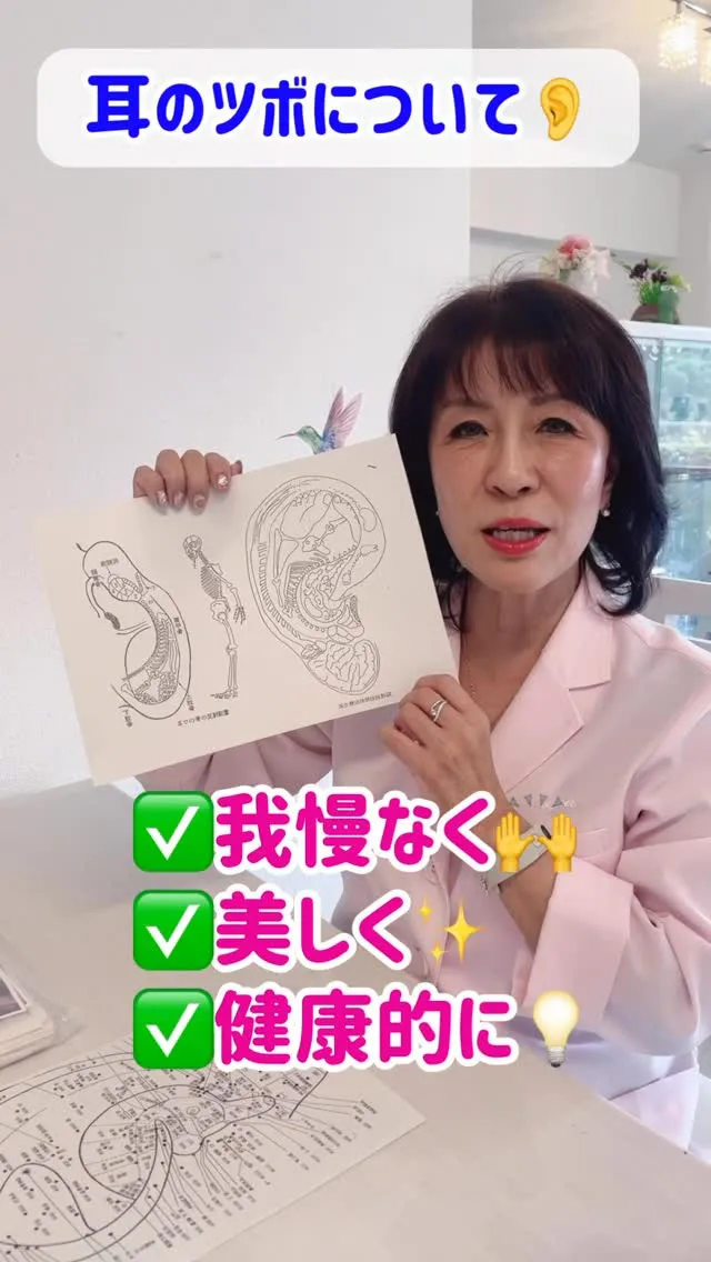 耳つぼダイエットに使っている耳ツボについて👂💡